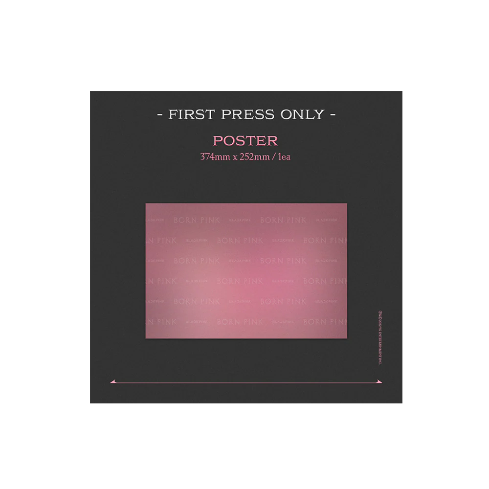 BORN PINK Exclusive Box Set - Pink Version - Image 11