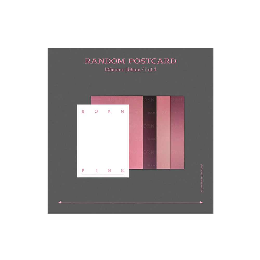 BORN PINK Exclusive Box Set - Pink Version - Image 7