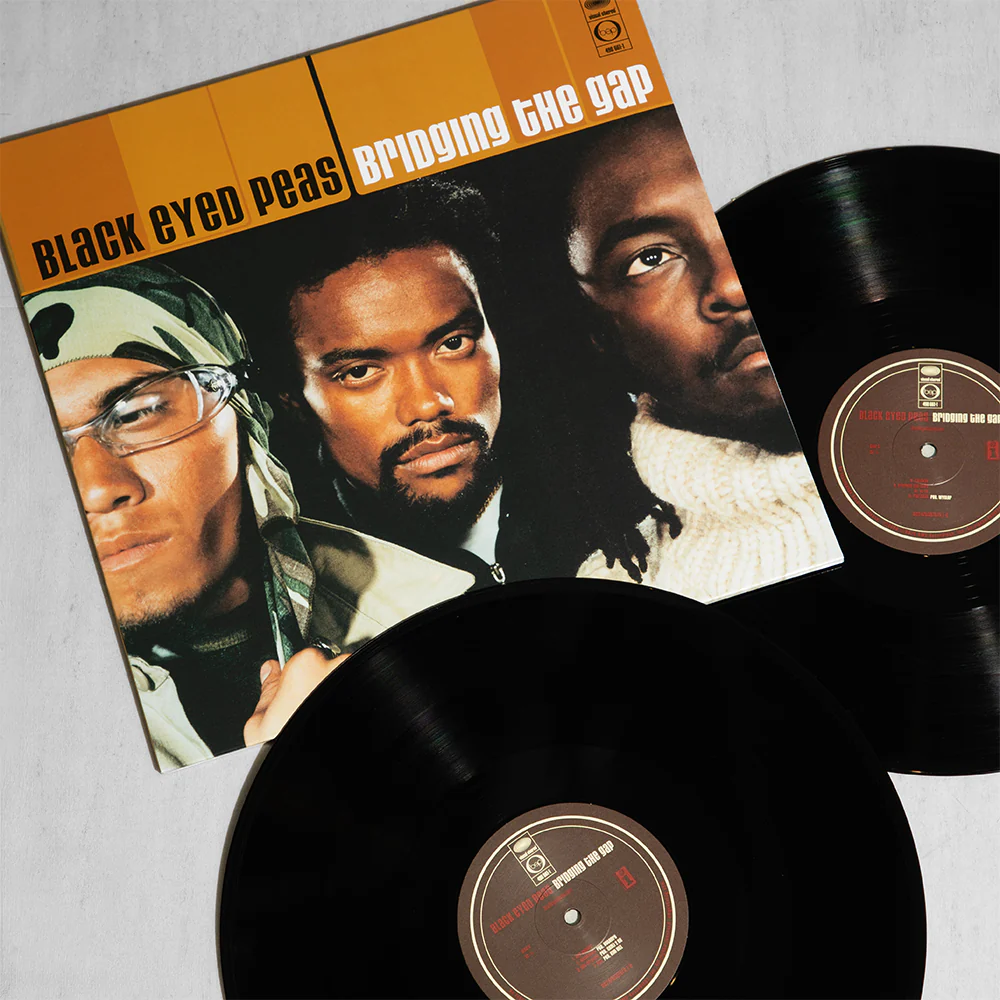Bridging the Gap 2LP