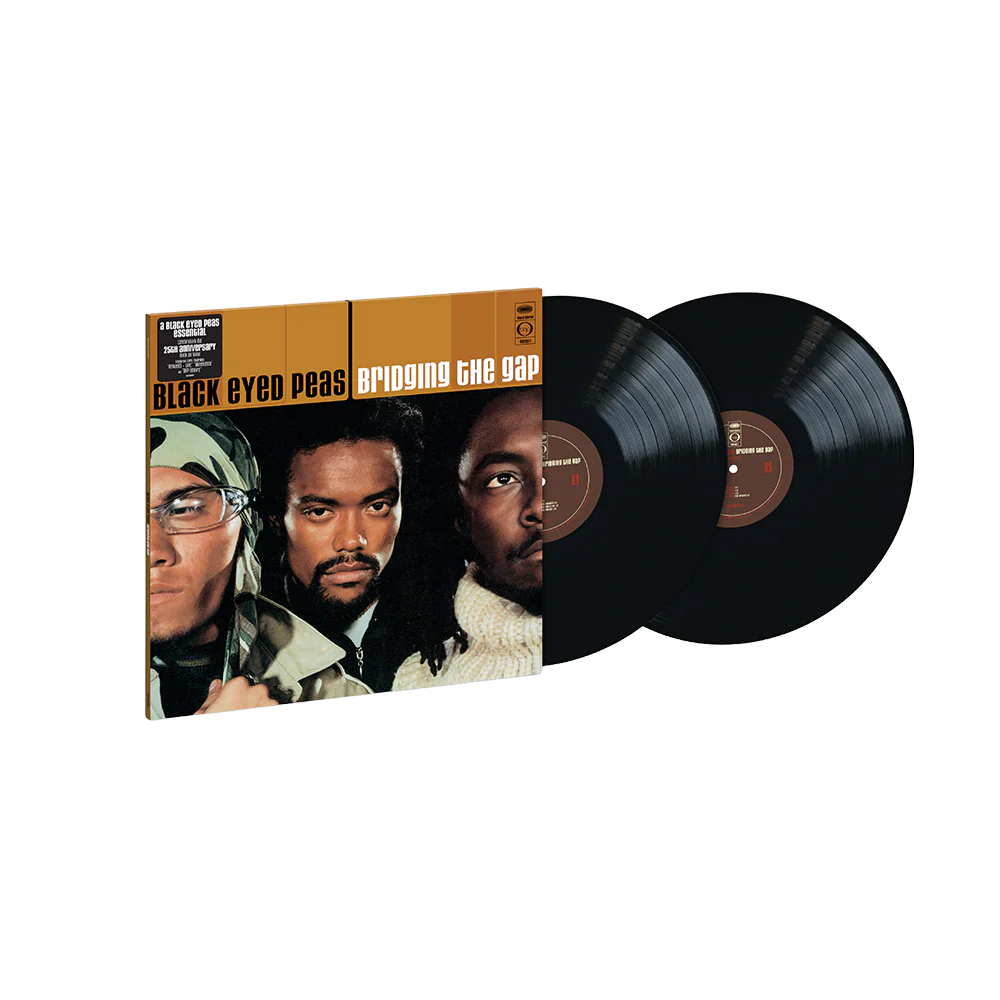 Bridging the Gap 2LP - Image 2