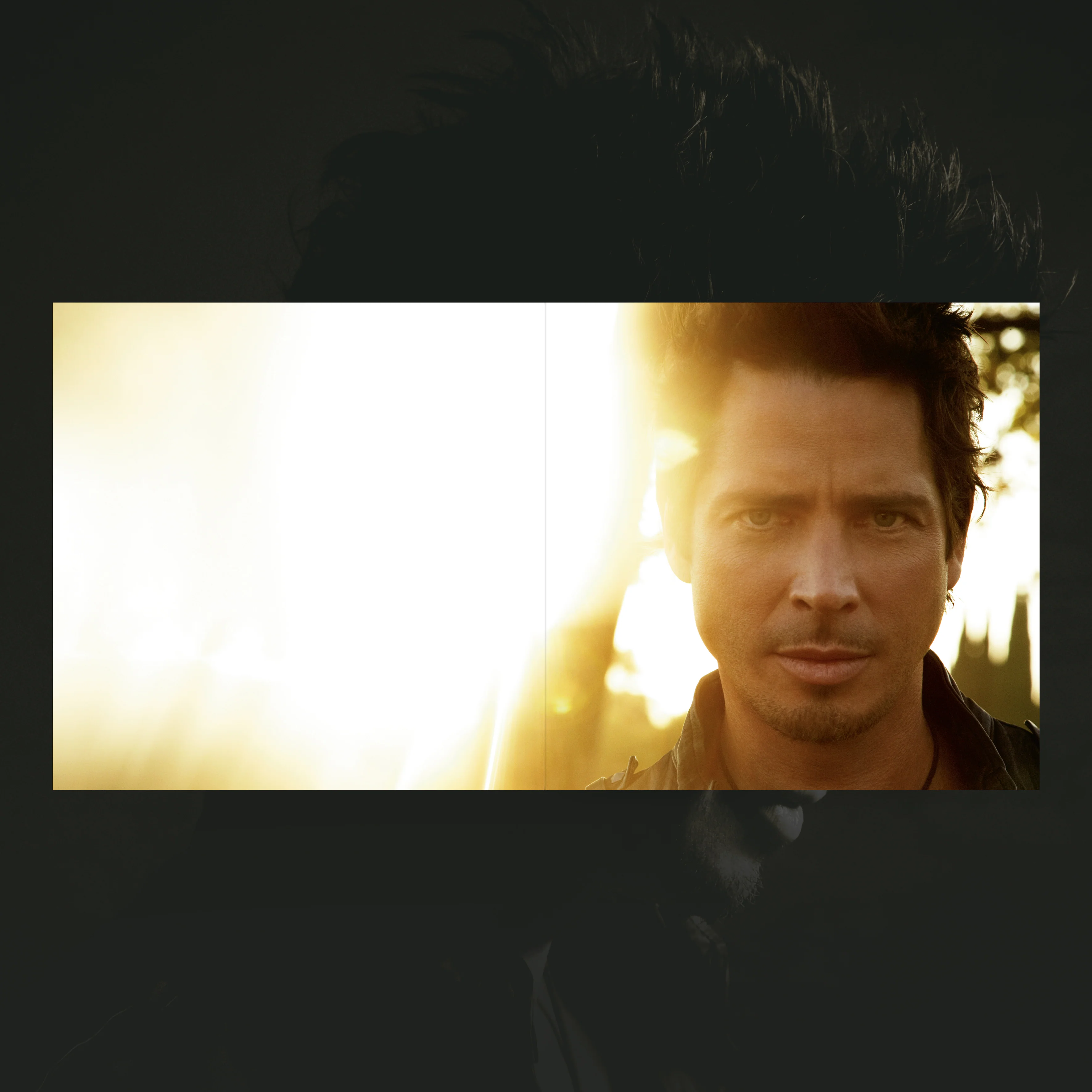 Chris Cornell - "Carry On" IVC Edition - Image 3