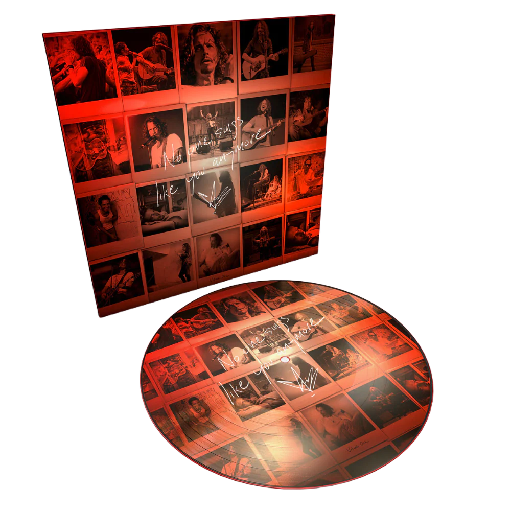 No One Sings Like You Anymore Picture Disc LP