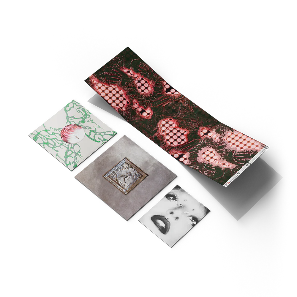 Chromatica Trifold LP - Image 3