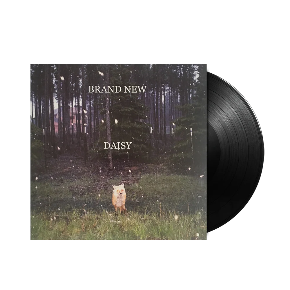Daisy LP - Image 2