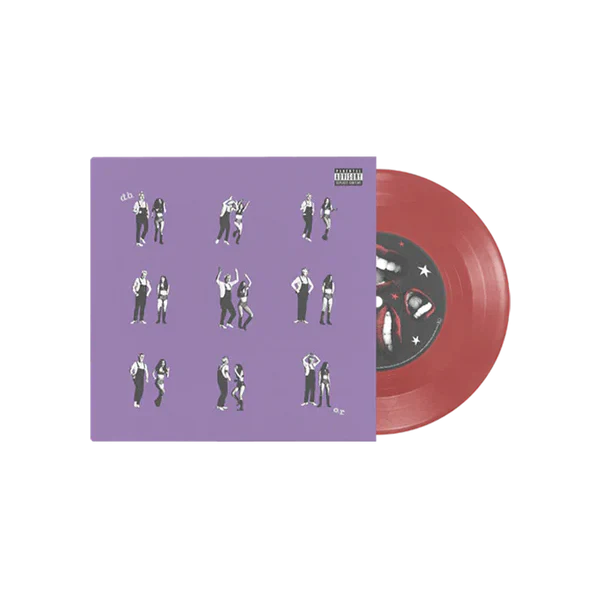drivers license / burning down the house 7" vinyl