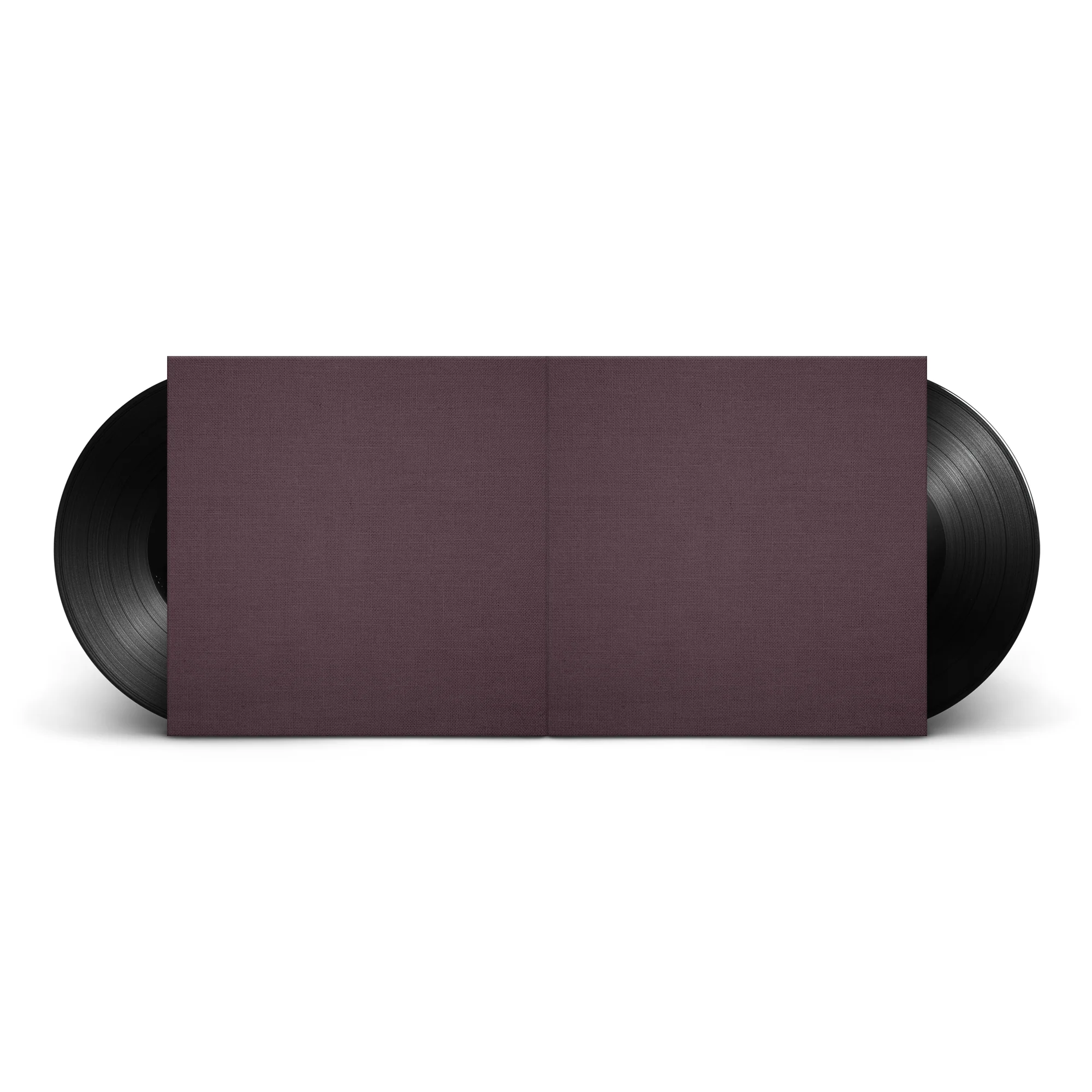 Eminem - Recovery by Damien Hirst Gallery Vinyl - Image 3