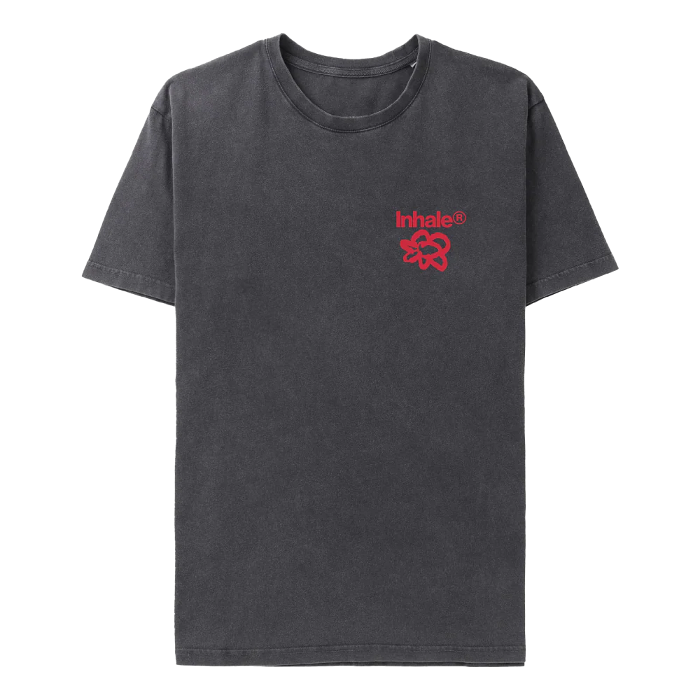 Inhaler Open Wide T-Shirt in Grey