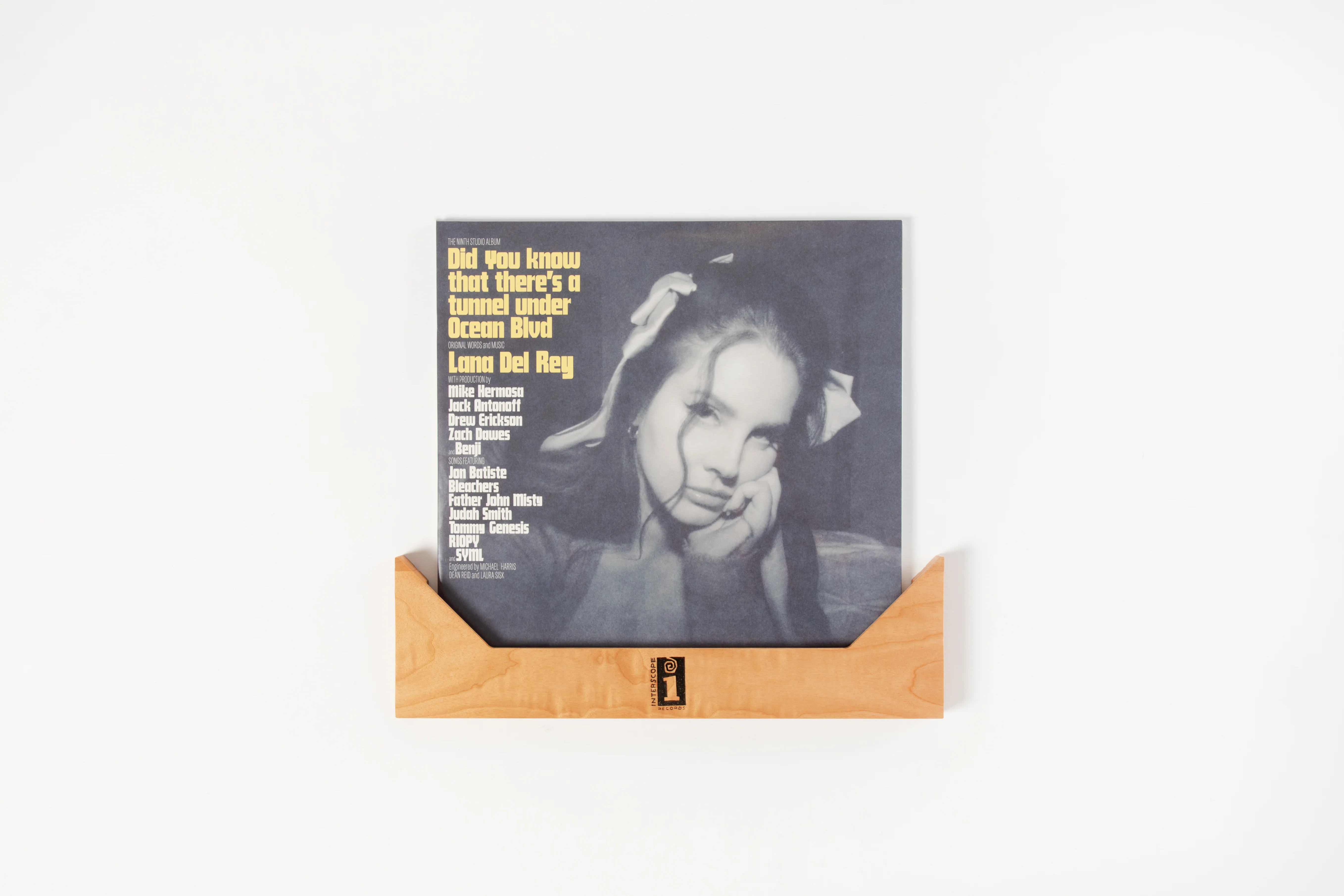 Interscope Vinyl Record Display Wall Hanger - Image 5