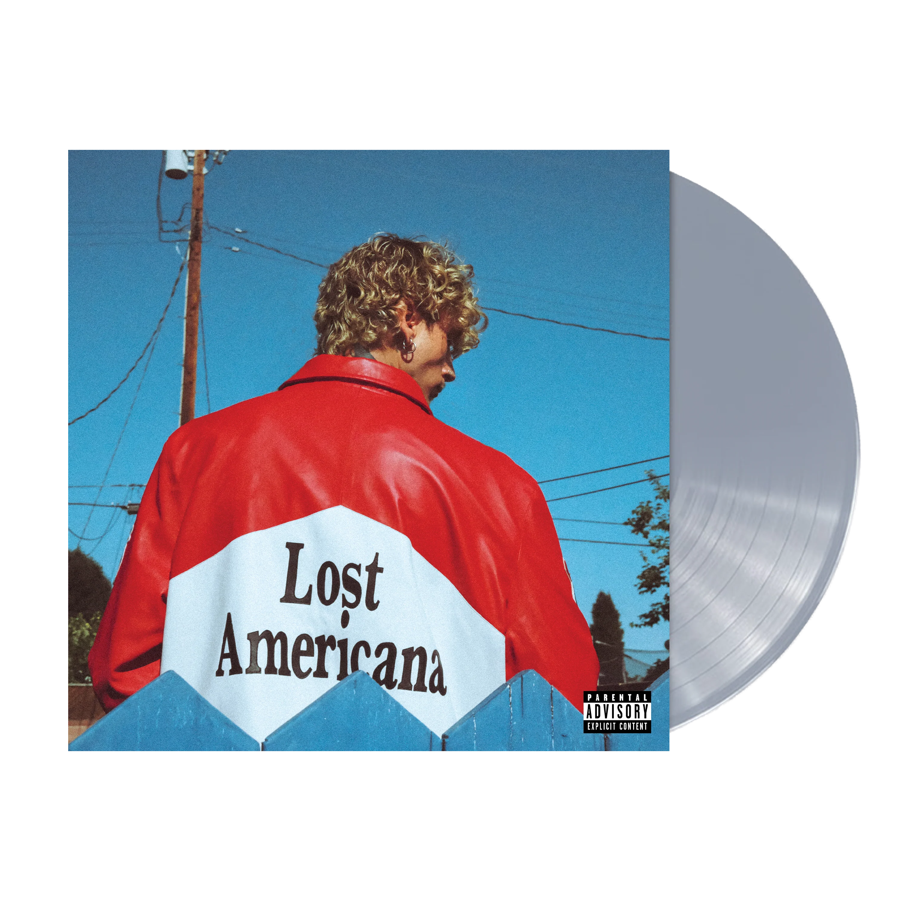 lost americana - platinum metallic vinyl - Image 2