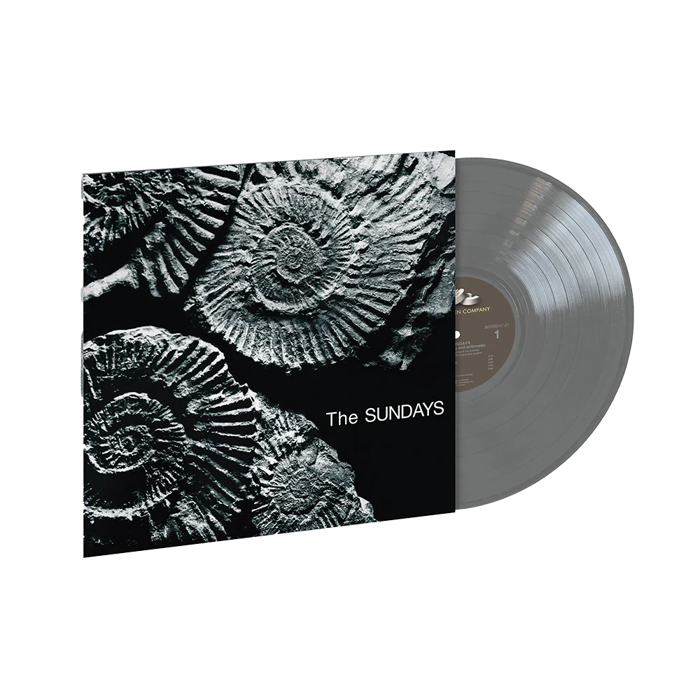 Reading, Writing, and Arithmetic Grey Vinyl 1LP - Image 2