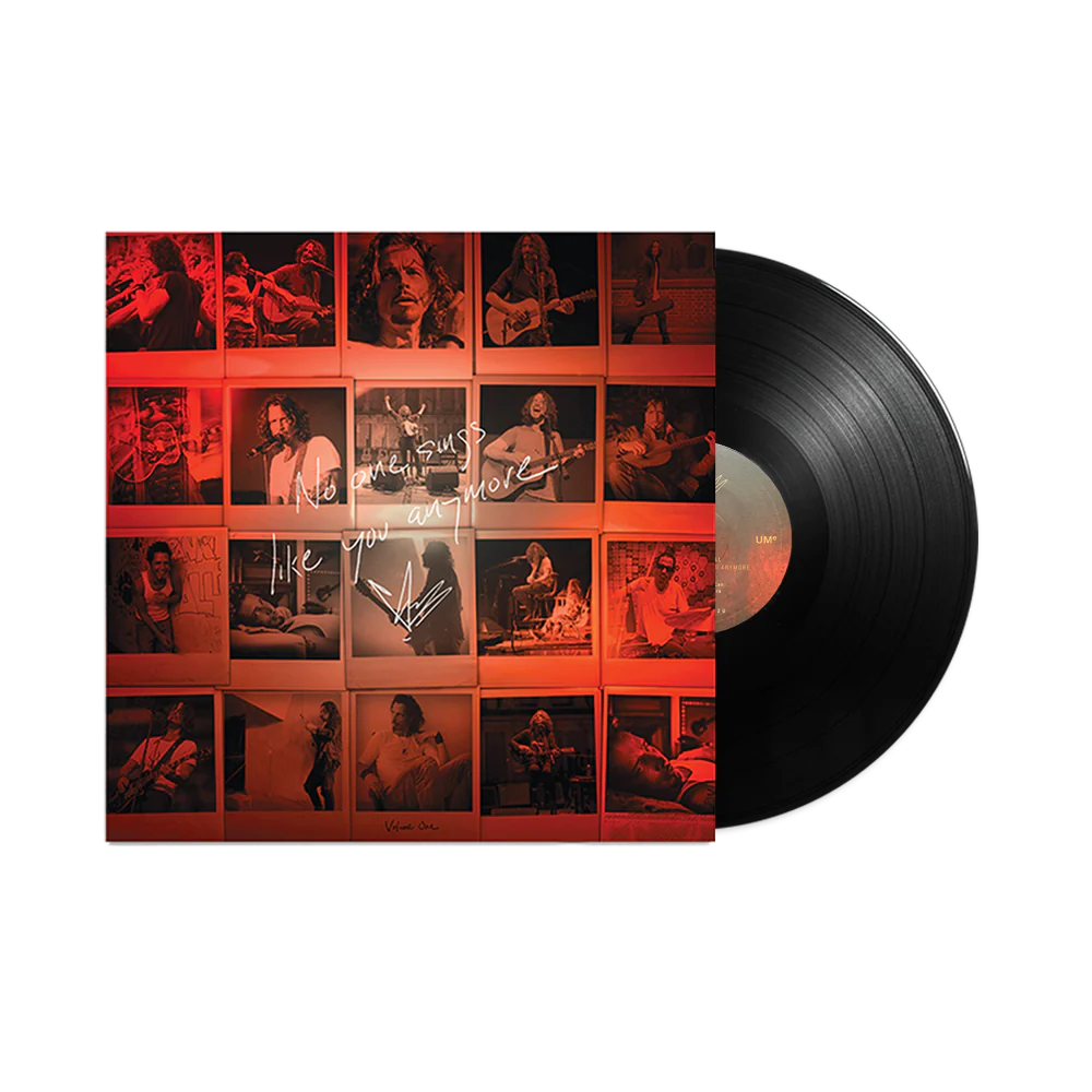 No One Sings Like You Anymore LP